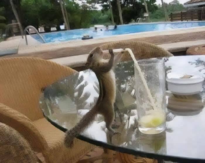 재밌는 사진 몇개. 각각 제목 좀 지어바여1