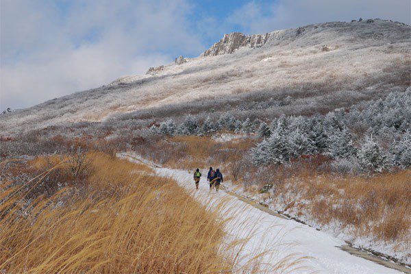 의외로 눈이 많이 오는 지역.jpg7