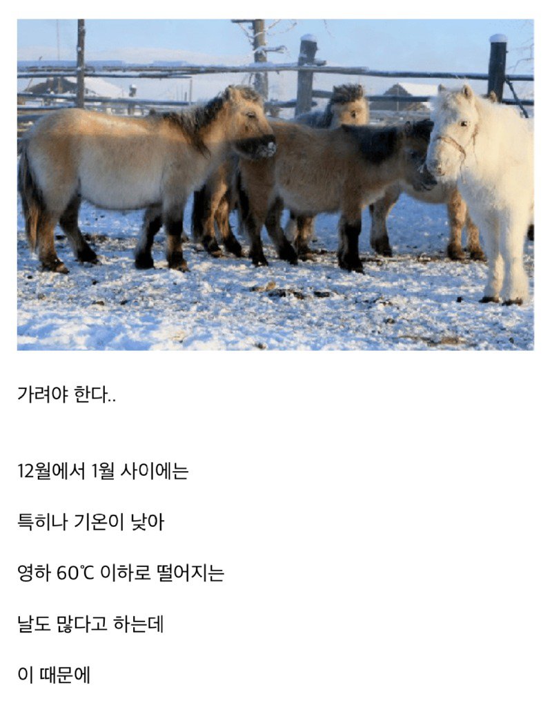 지구상에서 가장 추운 마을 오이먀콘에 대해 알아보자.jpg8