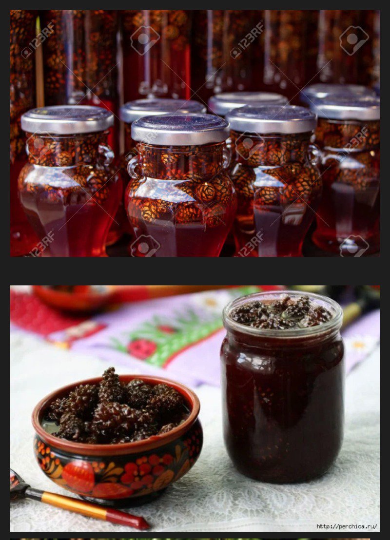러시아의 독특한 잼.jpg1