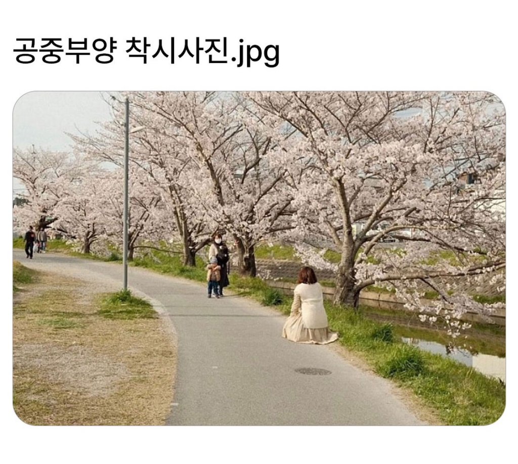 공중부양 착시 사진1