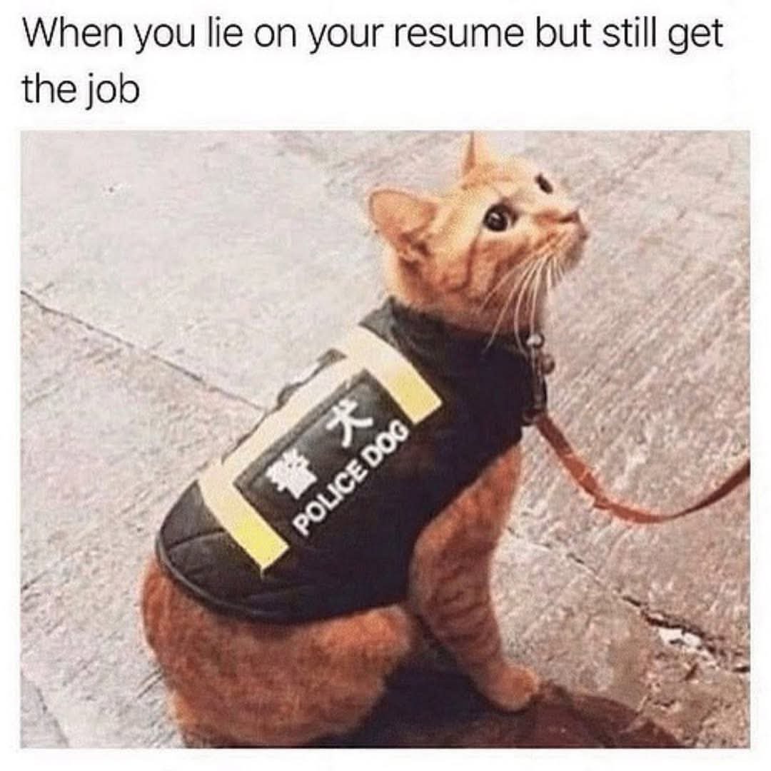 경찰견 입니다1