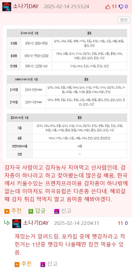 벨기에인 앞에서 감자튀김 요리를 선보이는 셰프40