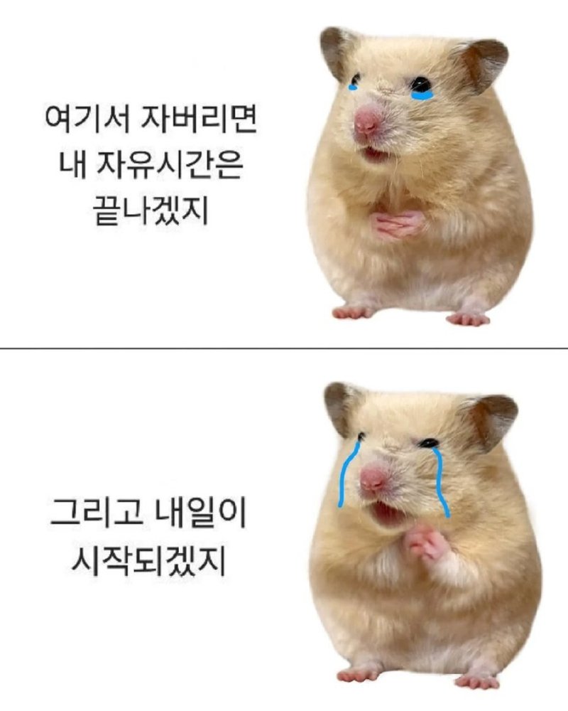 의사들이 권장하는 10시 전 수면이 불가능한 이유1