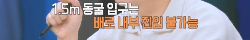 파도에 휩쓸려 동굴에 갇힌 다이버 구하기 위해 투입되었다가 순직한 구조대원11