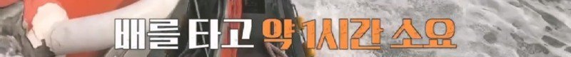 파도에 휩쓸려 동굴에 갇힌 다이버 구하기 위해 투입되었다가 순직한 구조대원5
