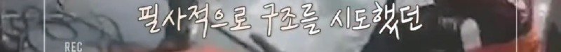 파도에 휩쓸려 동굴에 갇힌 다이버 구하기 위해 투입되었다가 순직한 구조대원52