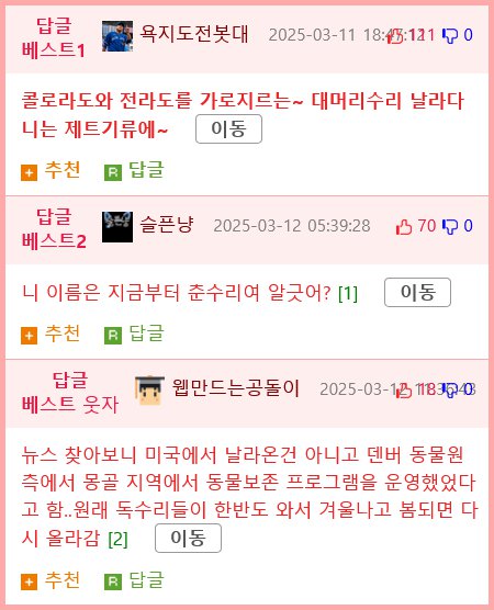 미국 인식표 단 대머리수리 전남에서 구조3
