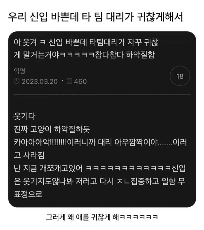 신입 바쁜데 타 팀 대리가 귀찮게해서1