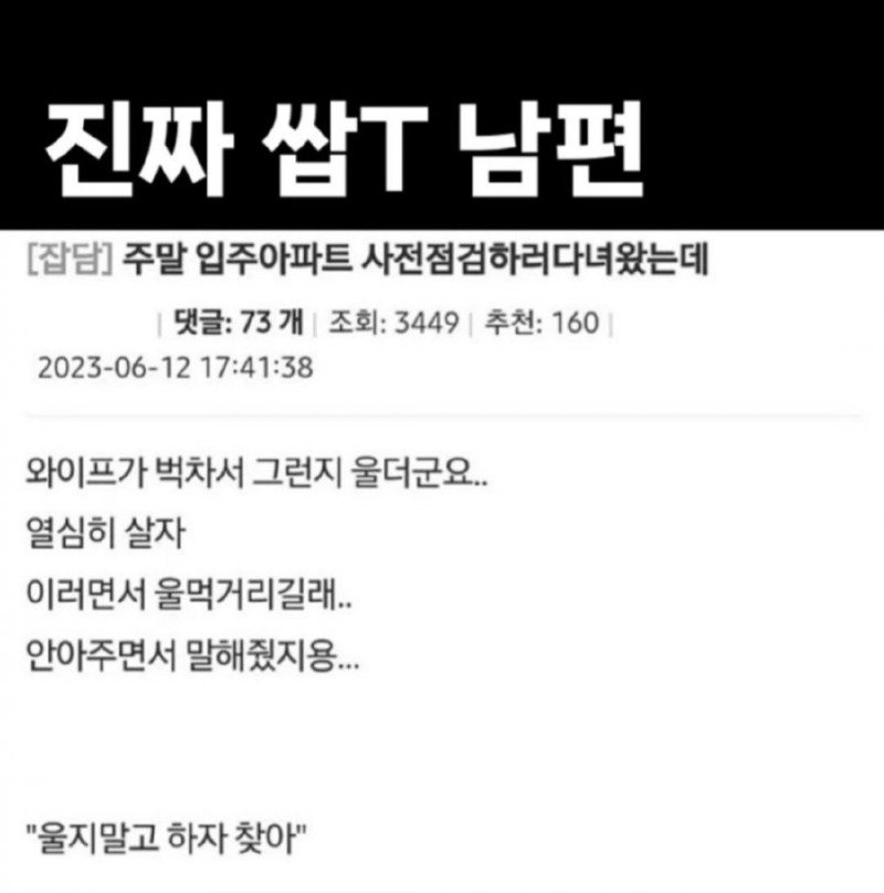 진짜 T 인 남편1