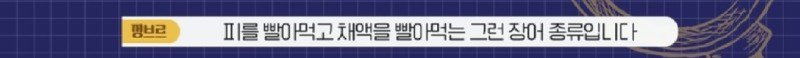 하천에서 족대질하다가 우연히 발견한 칠성장어15
