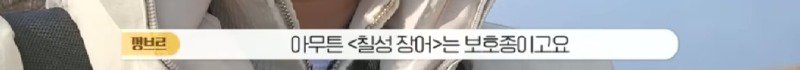 하천에서 족대질하다가 우연히 발견한 칠성장어16