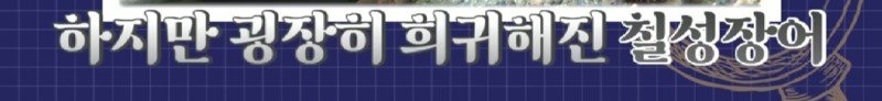 하천에서 족대질하다가 우연히 발견한 칠성장어18