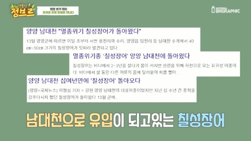 하천에서 족대질하다가 우연히 발견한 칠성장어19