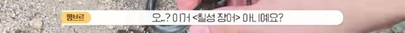 하천에서 족대질하다가 우연히 발견한 칠성장어2