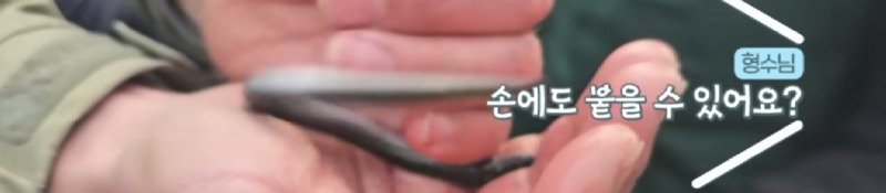 하천에서 족대질하다가 우연히 발견한 칠성장어6