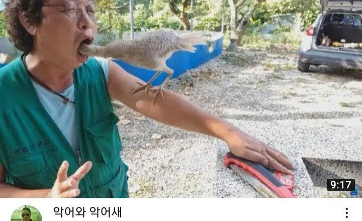 유튜브 썸넬 레전드.jpg1
