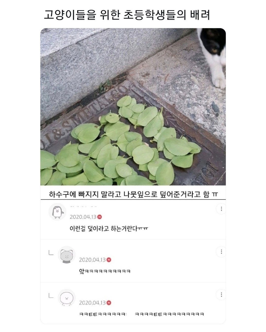 고양이를 위한 초등학생들의 배려1