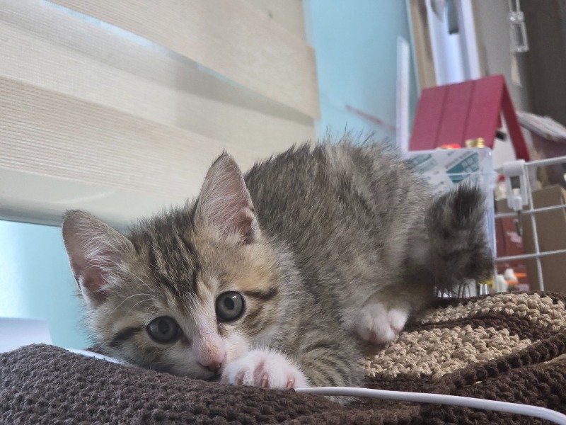 내가 만났던 최고의 손님1