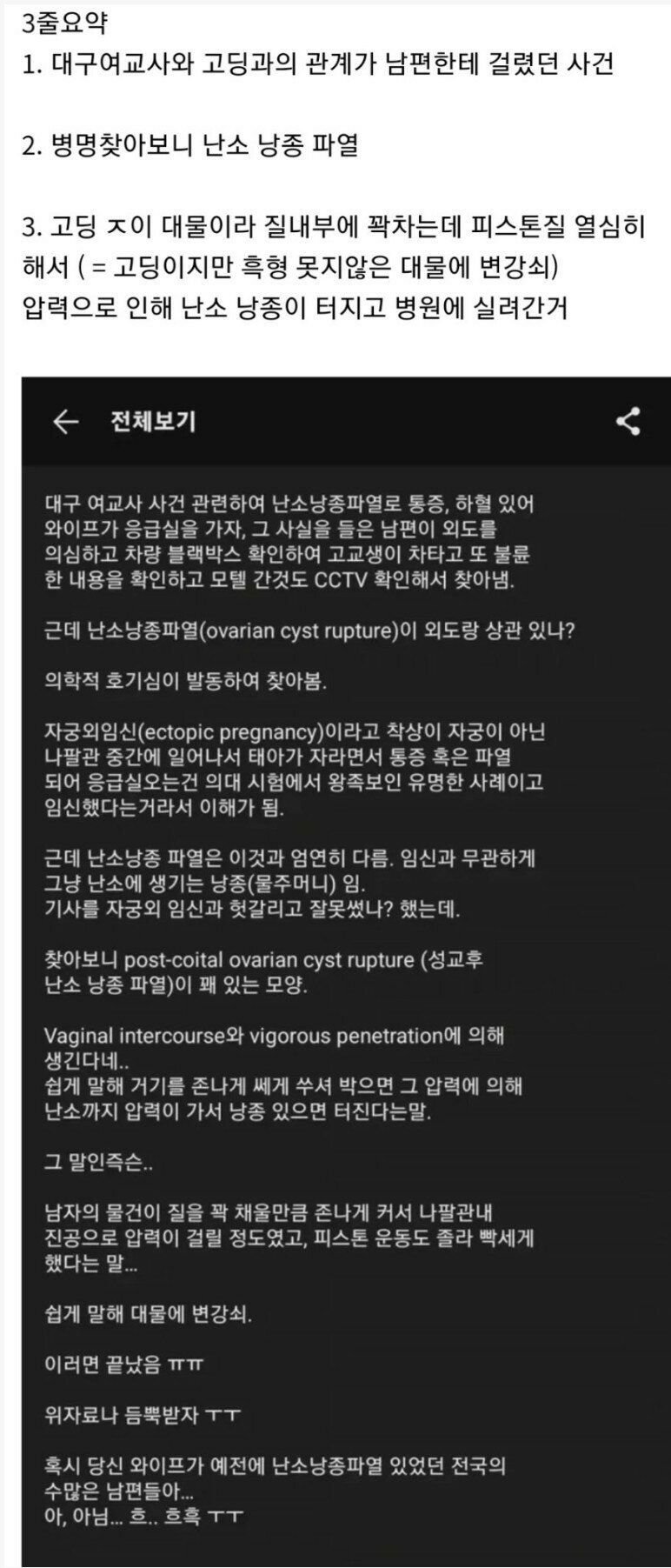 어느 여교사가 학생과 불륜해서 걸린이유1