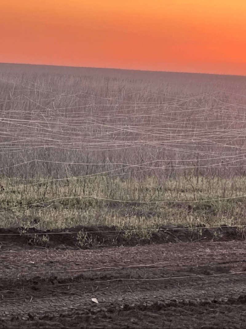 우크라이나 최전방 들판 상황1
