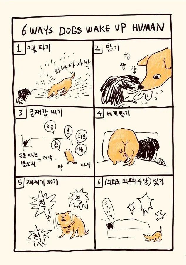개가 인간을 깨우는 방법들1