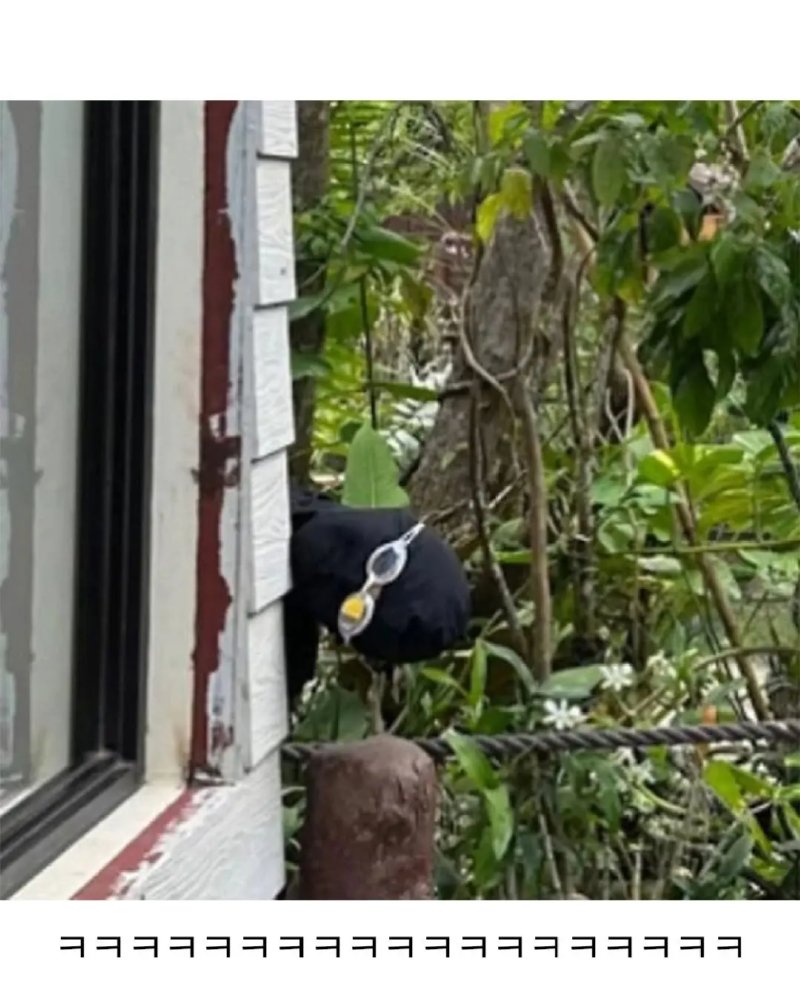 어느 여배우의 자외선 차단 방법4