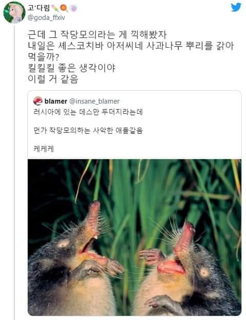 러시아 두더지와 러시아 문학1