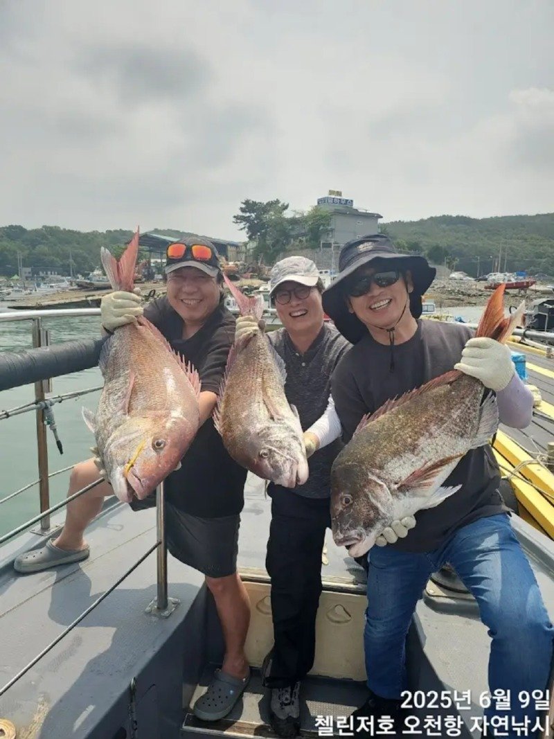 행복한 시간 보내고 계시는 유시민 작가님1