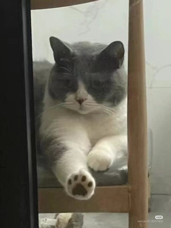 인터넷에서 본 귀여운 동물 사진 모음 2탄7