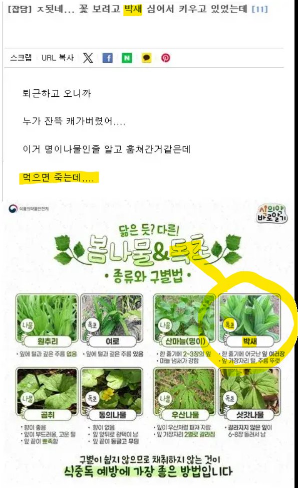 농산물 도둑을 걱정하는 농민1