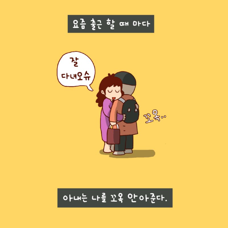돼지미어캣1