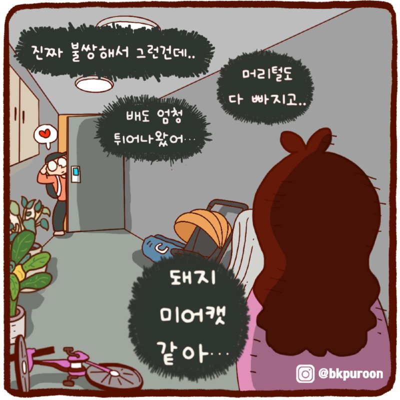 돼지미어캣6