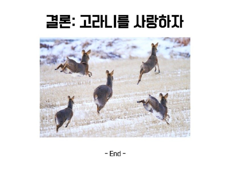 멸종위기 맞음? 고라니의 냉혹한 진실을.araboja14