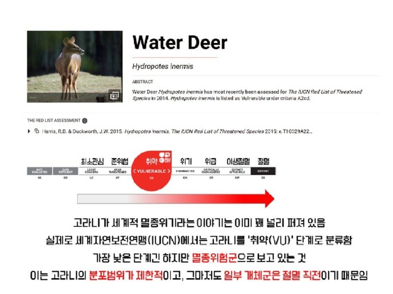 멸종위기 맞음? 고라니의 냉혹한 진실을.araboja2