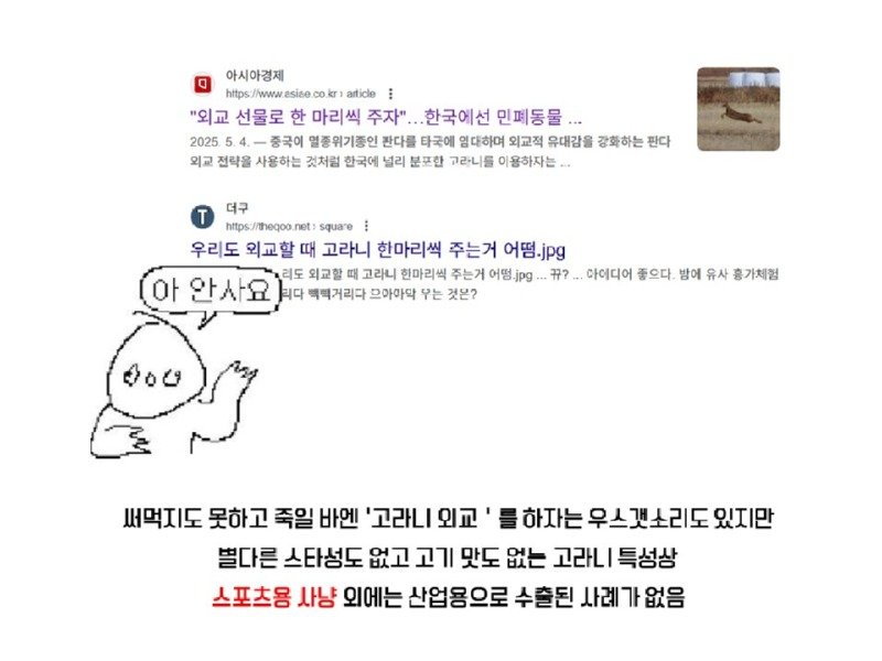 멸종위기 맞음? 고라니의 냉혹한 진실을.araboja8