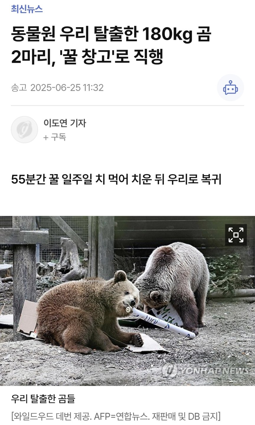 우리 밖으로 탈출한 180kg 불곰 두마리의 만행1
