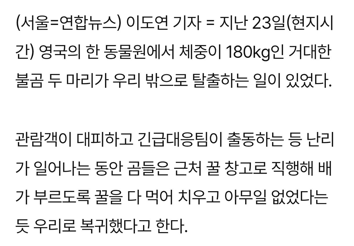 우리 밖으로 탈출한 180kg 불곰 두마리의 만행2