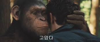 탱크탑 입고 중계? 이탈리아 女축구 아나운서들 복장 논란.jpg3