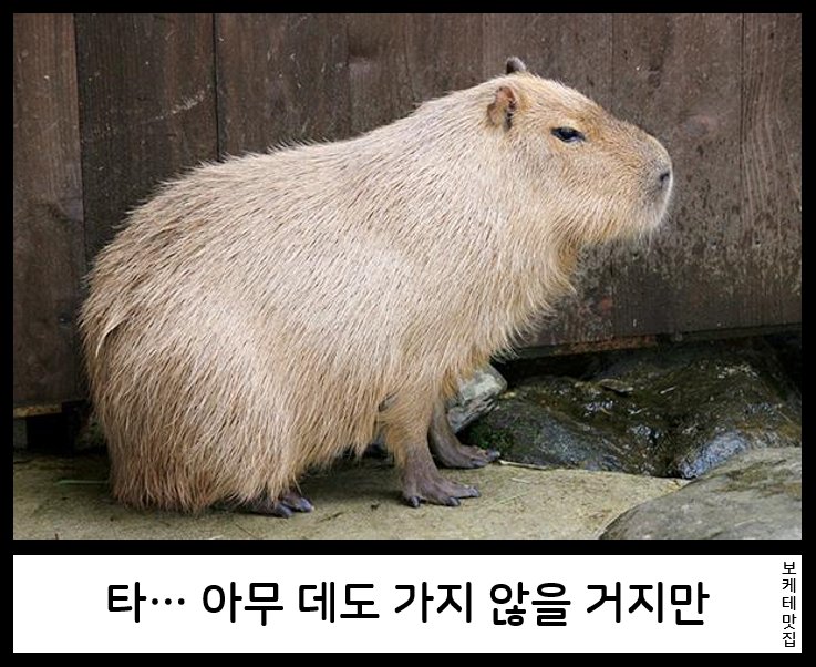 NEW 일본의 제목학원 보케테 모음 5116