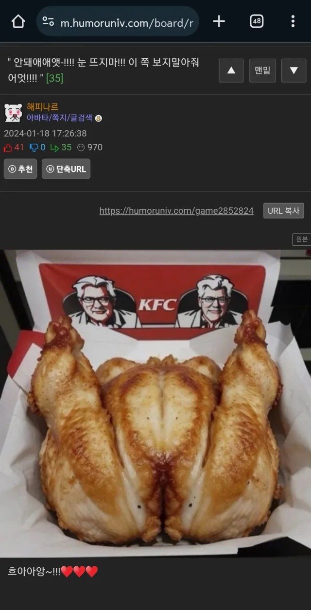 바람이 너무 강해서 다 보여져버린 매형3