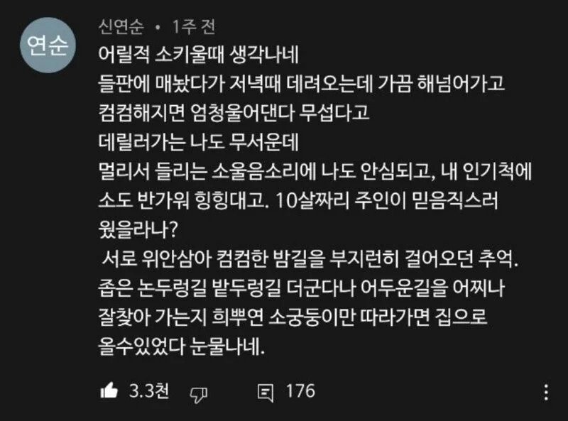 소는 영리하다.jpg2