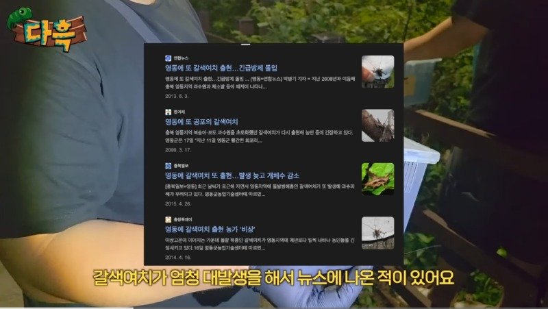 서울/인천 러브버그는 애교 수준이라는 경기도 갈색여치 창궐8