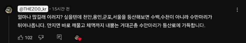 서울/인천 러브버그는 애교 수준이라는 경기도 갈색여치 창궐9