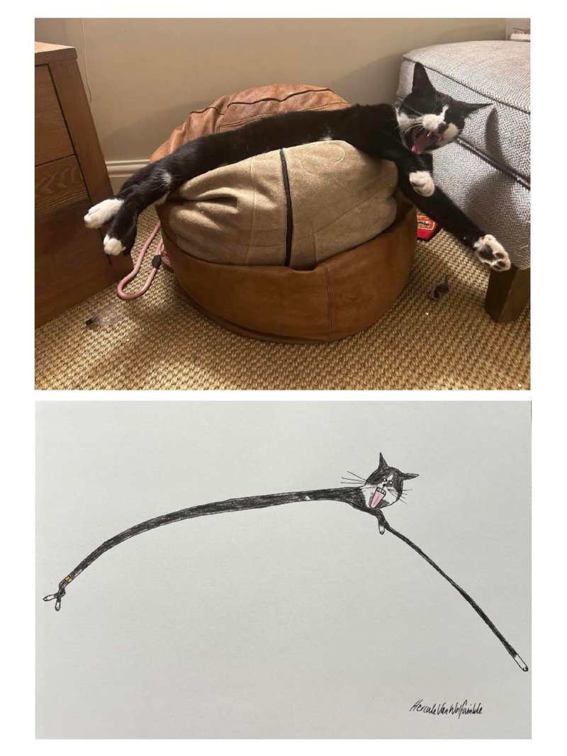 냥이 그림 그려 주세요. 넵1
