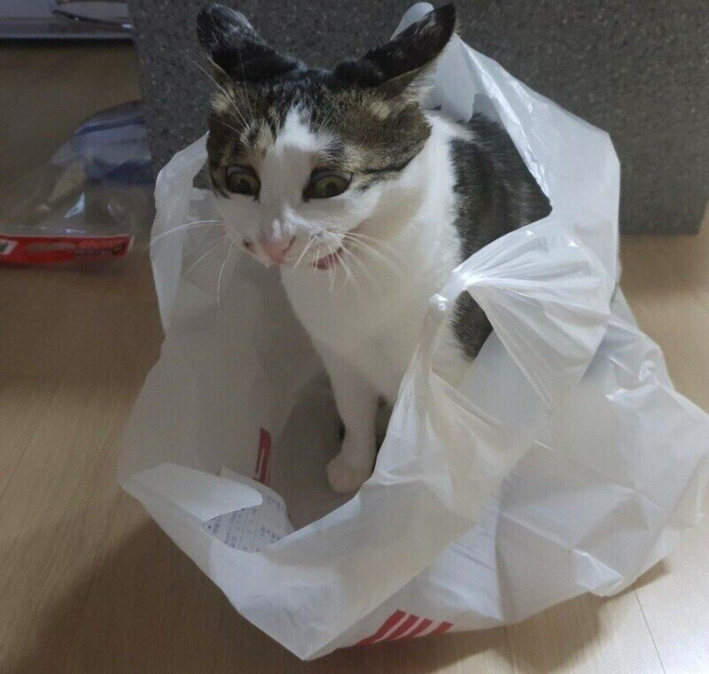 지금 다시보면 하이퍼리얼리즘의 시조였던 작품4
