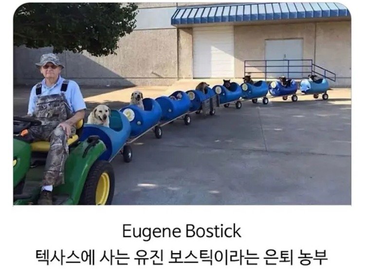 80대 할아버지의 산책시간.jpg1