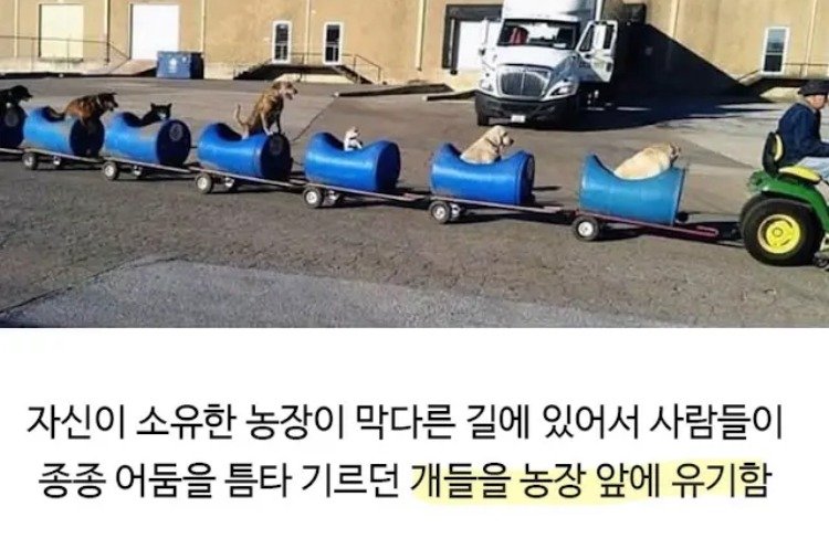 80대 할아버지의 산책시간.jpg2