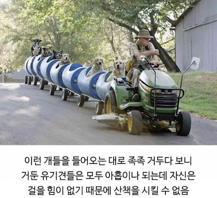 80대 할아버지의 산책시간.jpg4