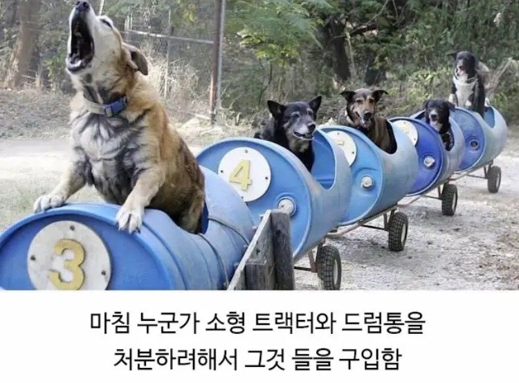 80대 할아버지의 산책시간.jpg5